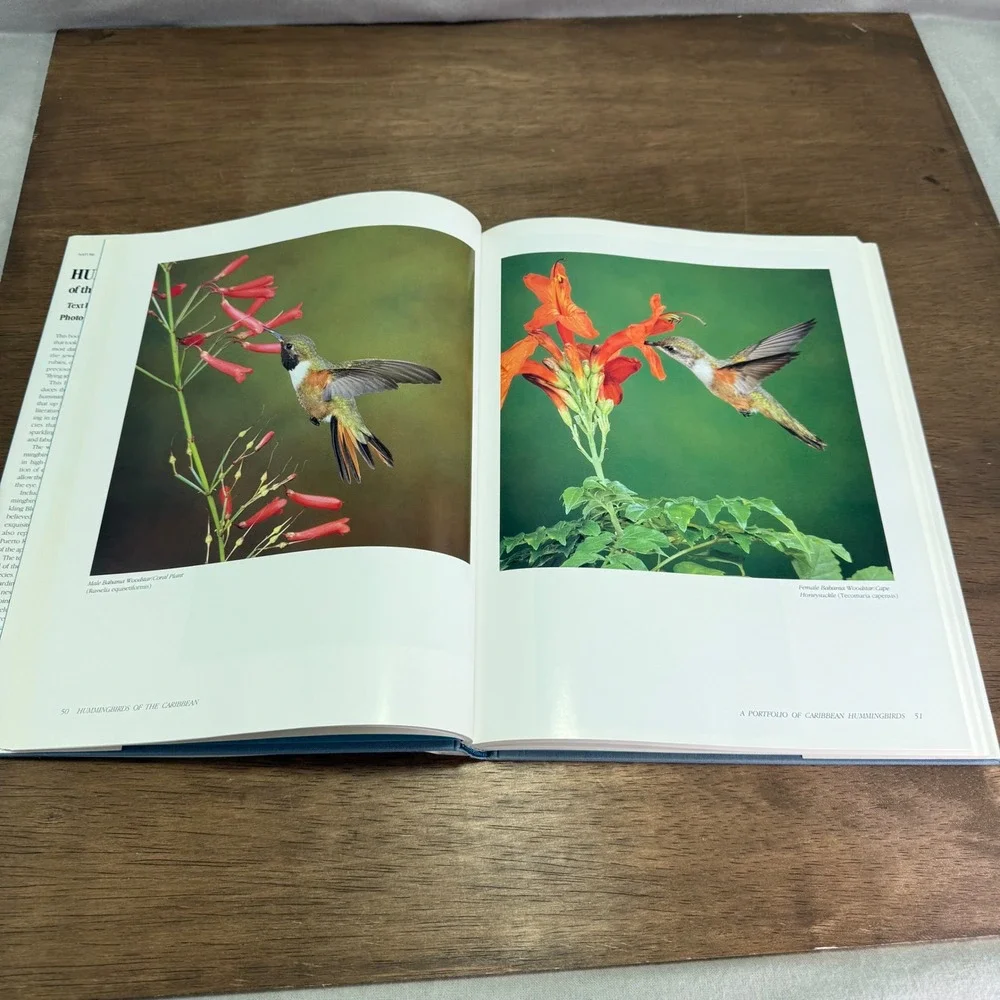Vintage Hummingbird Photography Books Lot - Caribbean & North America Tyrell HC